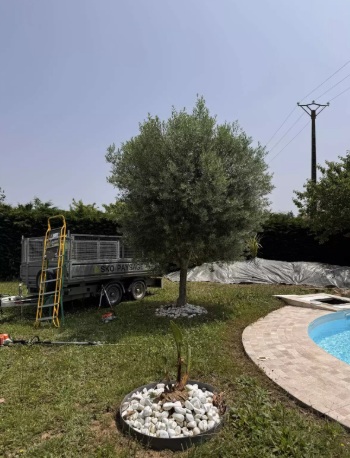 Capture d'écran 2026 04 07 090239