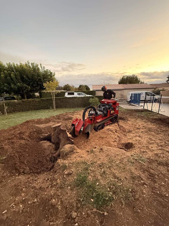 Dessouchage Saint-Sulpice-la-Pointe