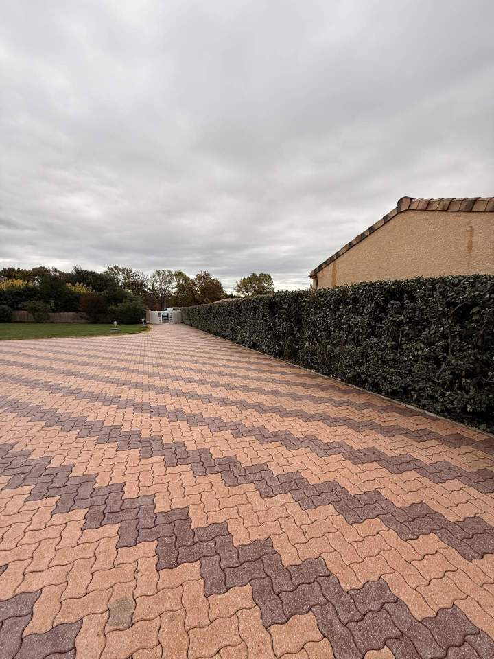 Soins réguliers pour un jardin impeccable toute l'année