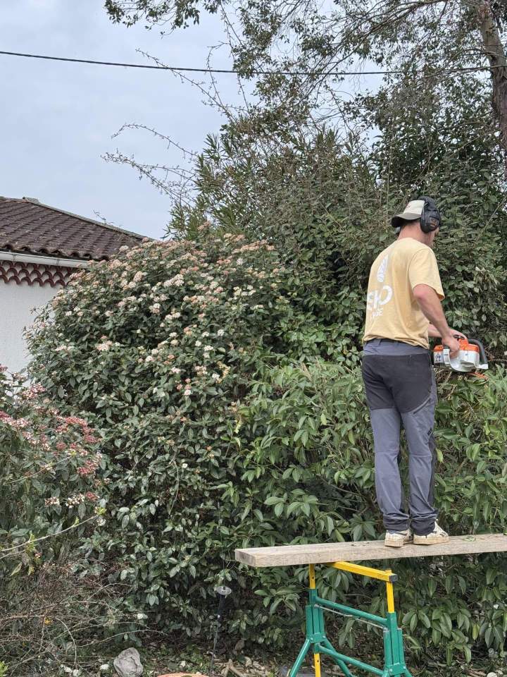 Taille d'arbuste Saint-Sulpice-la-Pointe