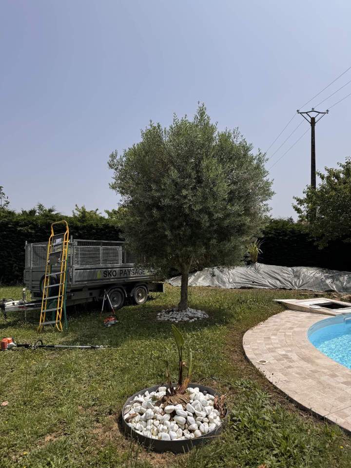 Entretien d'espace vert Saint-Sulpice-la-Pointe